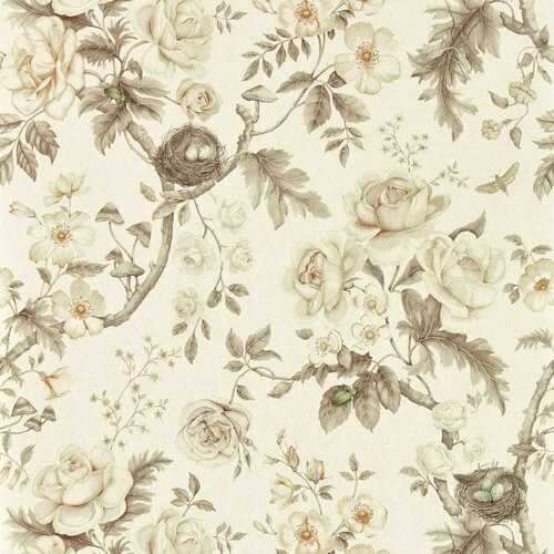 Tansy Bloom | Floral Sketch Wallpaper