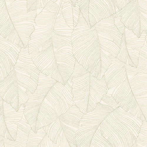 Vegetalia | Leaf Drawings Wallpaper