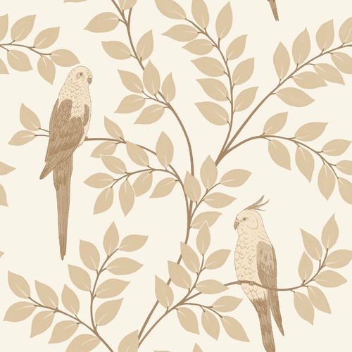 Equateur | Perched Birds Wallpaper