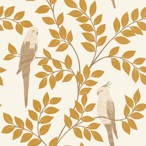 Equateur | Perched Birds Wallpaper