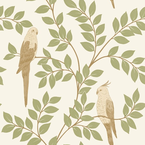 Equateur | Perched Birds Wallpaper