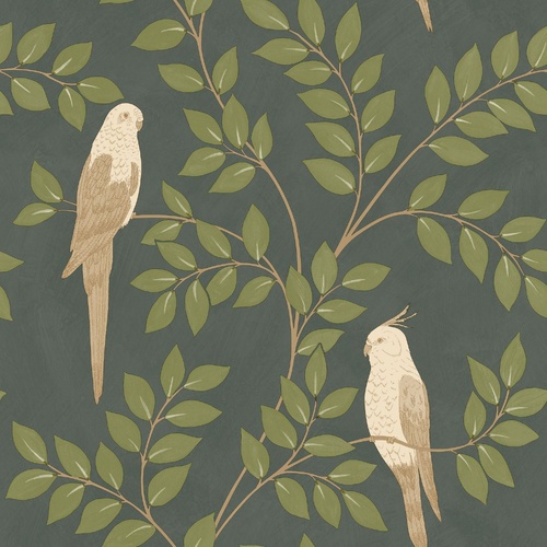 Equateur | Perched Birds Wallpaper