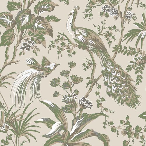 Peacock Toile | Bird Garden Wallpaper