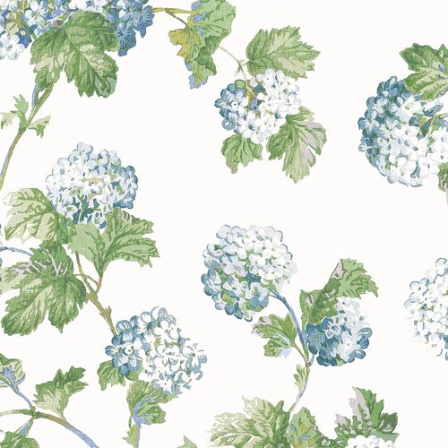 Sussex Hydrangea | Floral Blooms Wallpaper