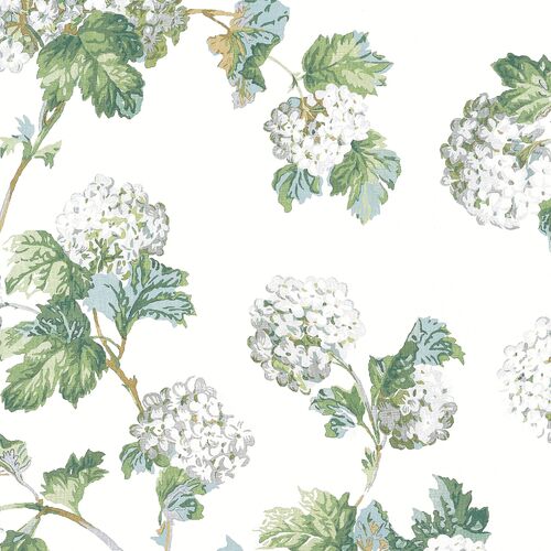 Sussex Hydrangea | Floral Blooms Wallpaper