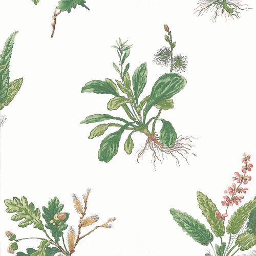 Woodland | Foliage Motif Wallpaper