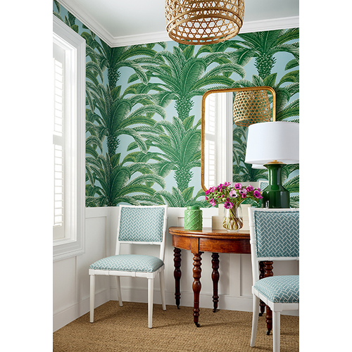 Queen Palm | Tropical Tree Wallpaper