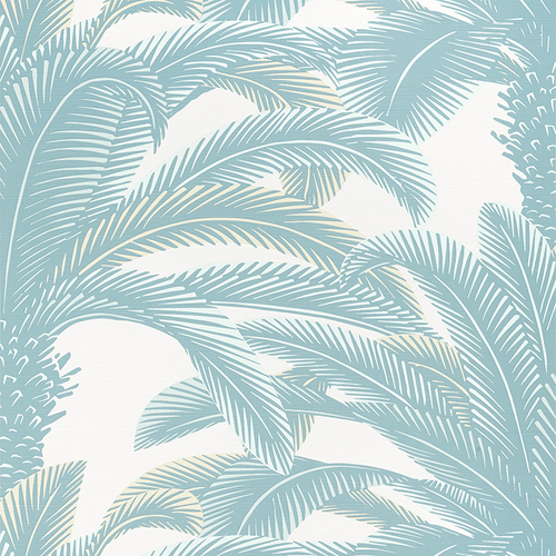 Queen Palm | Tropical Tree Wallpaper