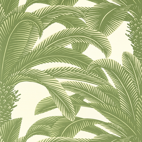 Queen Palm | Tropical Tree Wallpaper