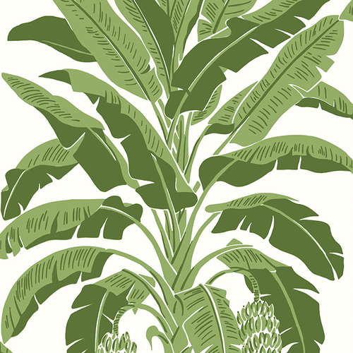 Banana Tree | Tropical Leaf Wallpaper