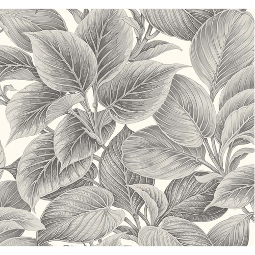 Wasilla | Tropical Leaf Wallpaper